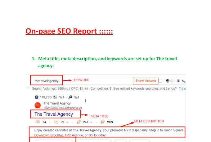 monthly on page and technical SEO schema markup and page speed optimization